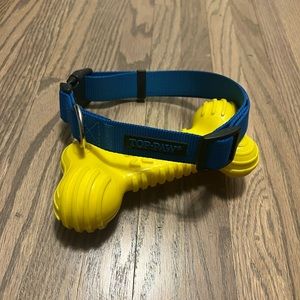 Top Paw Signature Dog Collar